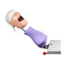 Fantoma Dental Practice Model