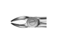 Forceps for upper and lower molars