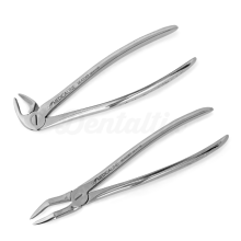 Root extraction