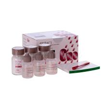 Fuji I : Ciment verre ionomère (Tri-Pack)