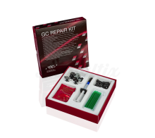 REPAIR KIT: Riparazioni intraorali.