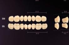 Idealis: Dientes Acrílicos Posteriores Inferiores (8 uds)