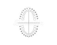 ANA-4: Replacement teeth for Tipodonto ANA-4 and ANA-4V (Pack 10 pcs)