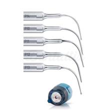 Kit Perio Anatomic