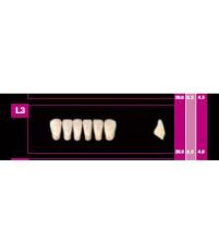 COSMO HXL dents inférieureses ci-dessus L11