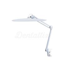Dental LED Lamp