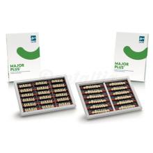 Major Plus Vita : Dents antérieures inférieures (6 unités)