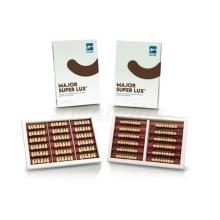 Major Super Lux Vita : Dents postérieures inférieures (8 unités)