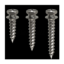 Orthodontics and Micro grafts.