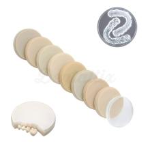 DIMA Temp: Discos CADCAM PMMA para Provisionales y Férulas (98.5 mm Ø)