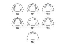 Typodont AG-3 : Mandibule partiellement dentée