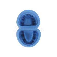 Moule en silicone pour prothèses dentaires édentées