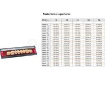 SR Orthotyp S PE: Dentes Acrílicos Posteriores Inferiores (8 unidades)