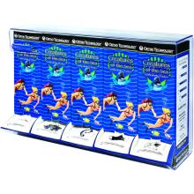 Organizzatore di elastici per 5 scatole di elastici intraorali
