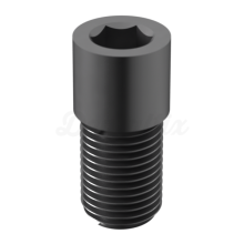Vite titanio interna esagonale + cono m1.4 20°