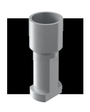 Replica impianto interno Bone Level RP