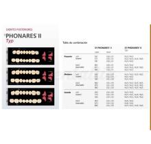 Dientes PHONARES ll anteriores superiores S82