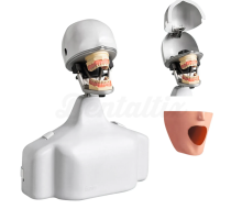 PK-2 TSE OM: Fantoccio con Testa e Torso