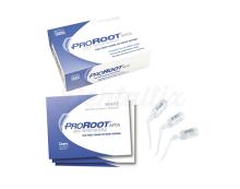 Pro Root : Ciment MTA pour la réparation du canal radiculaire (sachets de 0,5 g)
