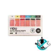 Pointes de gutta-percha ISO 02 ou 04