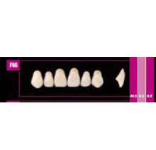 COSMO HXL dents supérieures précédente S12