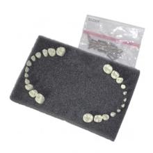 Denti di ricambio per bambini