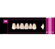 COSMO HXL dents supérieures précédente S18