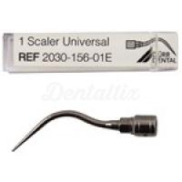 Vector Scaler: Punta de Ultrasonidos Periodontal