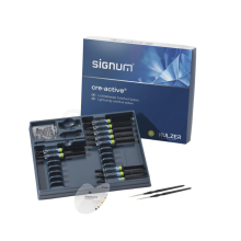 SIGNUM CRE-ACTIVE Sortido (8 tonalidades)