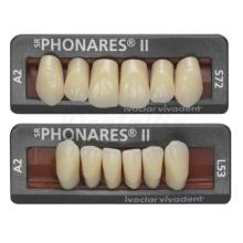Denti SR PHONARES II anteriori superiori (6U)