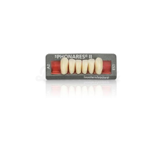 Dents Sr Phonares Ii Ci-Dessus Supérieures (6U)