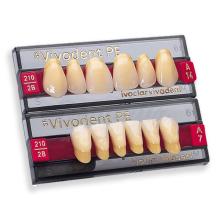 Dentes SR VIVODENT S PE anterior maior A15