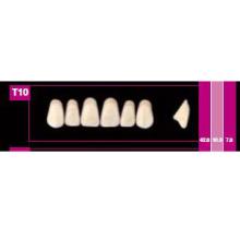 Dientes COSMO HXL anteriores superiores S8
