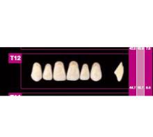 COSMO HXL dents supérieures précédente T10