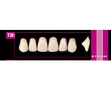 Dientes COSMO HXL anteriores superiores T2