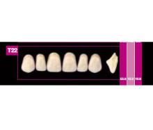Dientes COSMO HXL anteriores superiores T20