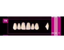 COSMO HXL dents supérieures précédente T20