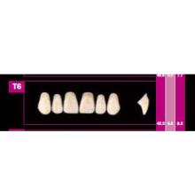 Denti COSMO HXL anteriori superiori T4