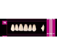 Denti COSMO HXL anteriori superiori T6