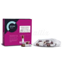 Kit de test de spores pour autoclave (20 pièces)