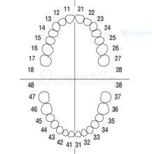 AG-3 ZE: Dientes para Tipodonto AG-3 (Paquete 10 uds)