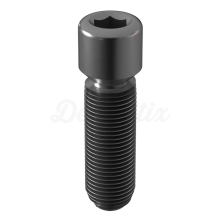 Vite titanio esterno esagonale 1.25 M2 RP