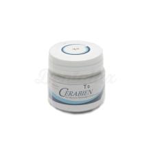 Cerabien Translucent: Porcelana para Estructuras de Alúminas (50 gr)