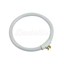Circular Fluorescent Tube