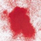 Veins de fibre Protechno (1 g)