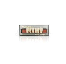 Dientes SR VIVODENT anteriores superiores A68