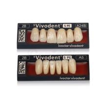 Dents Vivodent précédente PE A27 supérieures