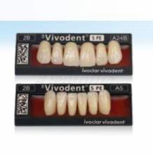 SR Vivodent S PE: Dientes Acrílicos Anteriores Inferiores (6 uds)